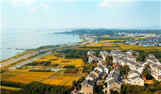 <CMSPRO_DOCUMENT FIELD='title'> 标题 </CMSPRO_DOCUMENT>
